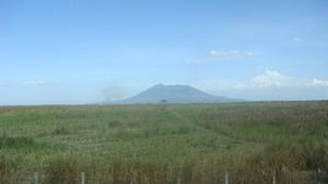 배경에 아라얏 산이 있는 중앙 루손 평야