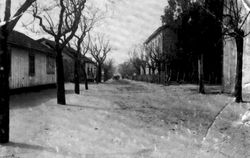 1911년 페타 티크바