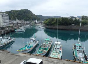 시간 예측 모델의 융기량 데이터 세트에 사용된 고치현 무로토시 무로츠 어항.