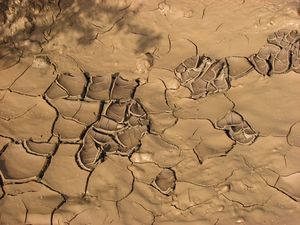 응력으로 인해 상층이 수축하고 말려 올라가는 모습