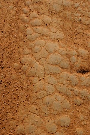 공기에 노출된 점토의 균열 패턴