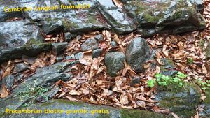 단양군 다리안 계곡의 부정합