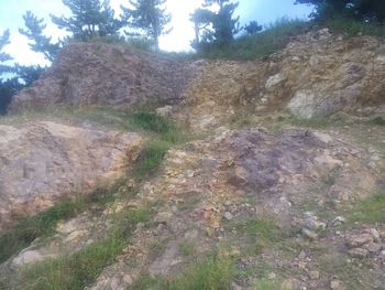 이가리항 서쪽 해안가 노두연일층군 이동층(Te)에 해당하는 지층이다. (청하도폭)경상북도 포항시 청하면 이가리 산 22-4