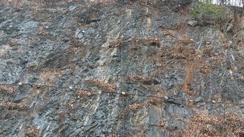 단양읍 장현리 노동장현로 도로변의 두무골층