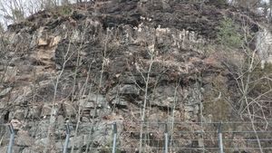 고령군 쌍림면 합가리 지릿재 고개 도로변의 하산동층 노두