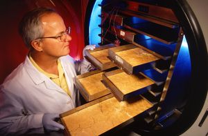 소형 캐비닛형 동결 건조기에서 동결 건조된 물질을 언로딩하는 트레이