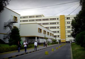 호노리오 델가도 지역 병원