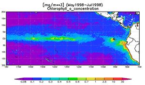 태평양에서 적도 용승이 표면 엽록소 농도에 미치는 영향