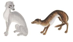 가와하라 게이가의 "늑대"와 "야마이누" 그림