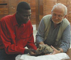 미셸 브루네(오른쪽)와 아훈타 짐두말베이가 국립 연구 지원 센터에서 재구성된 사헬란트로푸스 차덴시스 두개골을 보고 있다.