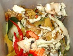 「음식물 쓰레기」로 처분되는 식품