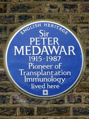 2014년 7월 14일 잉글리시 헤리티지가 햄스테드, 다운셔 힐 25번지에 세운 블루 플라크