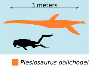 사람과 크기를 비교한 플레시오사우루스