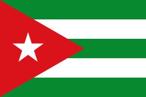 1963년에서 1977년 사이에 GONG이 제안한 국기