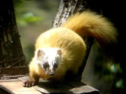 가나가와현・단자와에서 촬영(2007년)