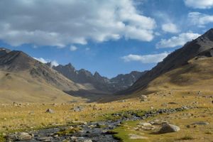 마눌고양이는 힌두쿠시 산맥의 코히-바바 산맥의 바위 경사면에 서식한다.