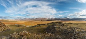 이 종은 우코크 고원의 초원에 서식한다.