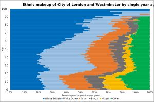 2021년 런던 시를 포함한 웨스트민스터의 민족 구성