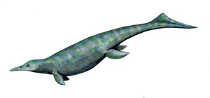 우타츠사우루스 (Utatsusaurus)는 파르비나토르의 근연종이다.