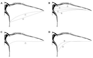 익룡 날개의 다양한 구성에 대한 제안