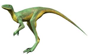 Lagerpeton의 생체 복원도. 라게르페티드는 익룡과 많은 해부학적 및 신경해부학적 유사점을 공유한다.