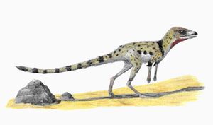 익룡과 관련이 있다고 이론화된 시조류형류인 Scleromochlus의 생체 복원도.