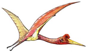 아즈다르코과인 케찰코아틀루스(Quetzalcoatlus), 날았던 동물 중 가장 큰 동물 중 하나로, 후기 백악기에 살았다.