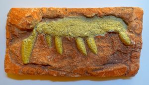 최초로 기술된 디메트로돈 보레알리스의 화석, 위턱뼈