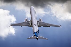 737 MAX 8의 상단 모습, 이중 날개 상부 비상구를 보여줌