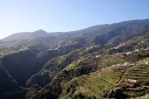 라 팔마 섬의 계단식 밭