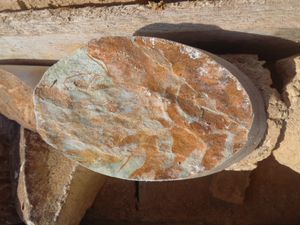 석회석 코어 샘플의 녹색 및 적갈색 얼룩은 각각 Fe2+ 및 Fe3+의 산화물/수산화물에 해당한다.