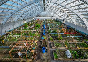 이누빅 커뮤니티 온실 (오래된 하키 링크에서 개조)