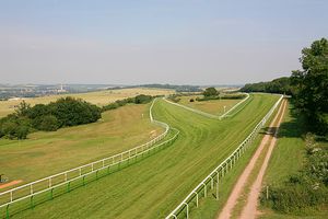 멀리 대성당이 보이는 솔즈베리 경마장