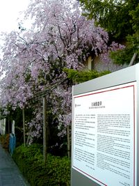 리쓰메이칸 헌장