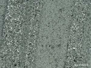 호주에서 채취한 신원생대 호상철광층의 박편