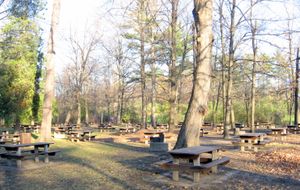 오타와에 있는 빈센트 매시 공원