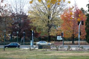 오렌지 고등학교