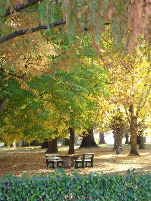 가을의 쿡 공원