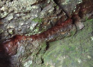 일본 도이 금광의 현장 금맥(갈색).