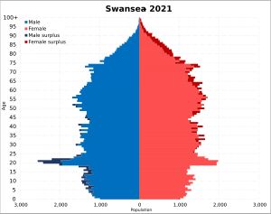 스완지 지방 자치 단체의 인구 피라미드
