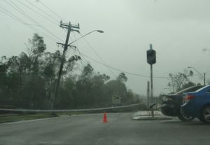 타운스빌 휴 스트리트의 쓰러진 전신주와 전선