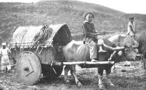 1920년경 카가얀 계곡으로 이주하는 일로카노족