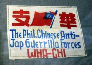 화지 대대 또는 제48중대의 팔 밴드