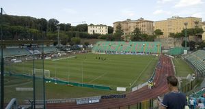 아르테미오 프란키 경기장 – 몬테파스키 아레나 (Stadio Artemio Franchi – Montepaschi Arena)
