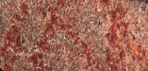 블롬보스 동굴에서 발견된 "인간의 손으로 그린 가장 오래된 그림"