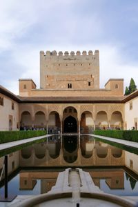 아라야네스 정원