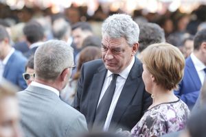 2017년 미하이 투도세