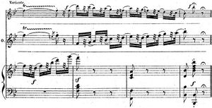 소프라노 역할에서 나온 콜로라투라 구절의 예시. 이는 높은 4옥타브 레(D)로의 도약을 포함한 더 어려운 변주(상단 보표)를 포함한다. 앙브루아즈 토마의 오페라 《햄릿》(1868년)에서 오필리아의 광란 장면(4막)의 왈츠에 나오는 최종 카덴차([http://imslp.org/wiki/Hamlet_(Thomas,_Ambroise) 피아노-성악 악보], 292쪽).