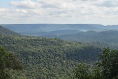 알토 파라나 대서양 숲