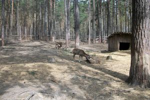 오룔스키 폴레시에 국립공원